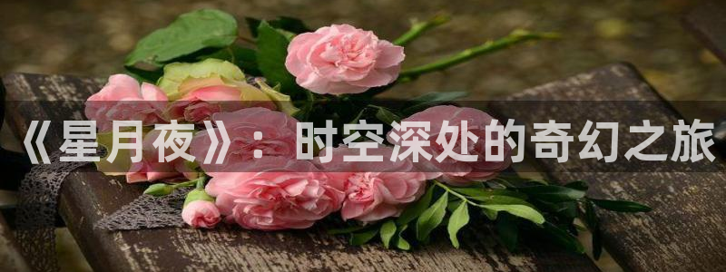 风车动漫在线免费：《星月夜》：时空深处的奇幻之旅