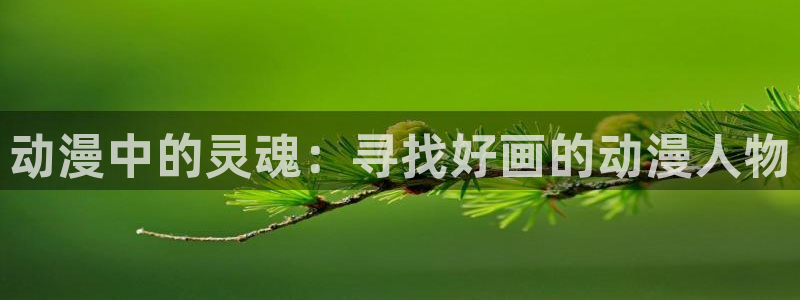 风车动漫手机专注动漫门户：动漫中的灵魂：寻找好画的动漫人物
