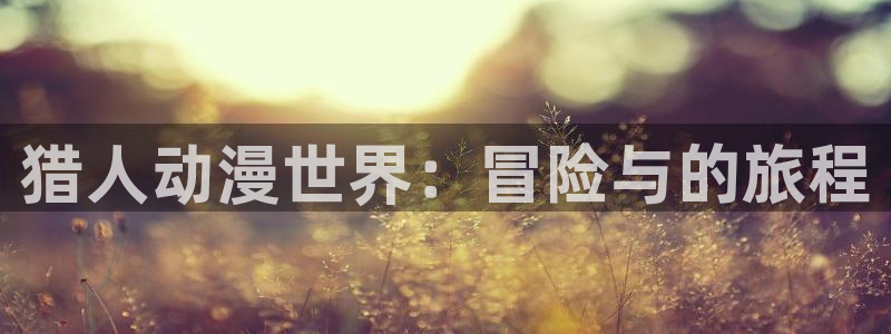 风车动漫下载手机版：猎人动漫世界：冒险与的旅程